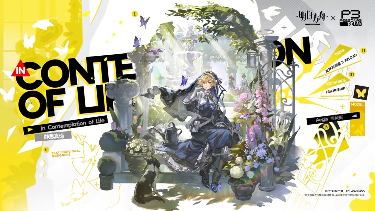 Thumbnail 11 Desktop