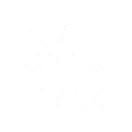 Starflower Blooms | วงจรฟอร์เต้