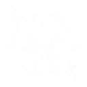 Binary Butterfly | สกิลเอาท์โทร