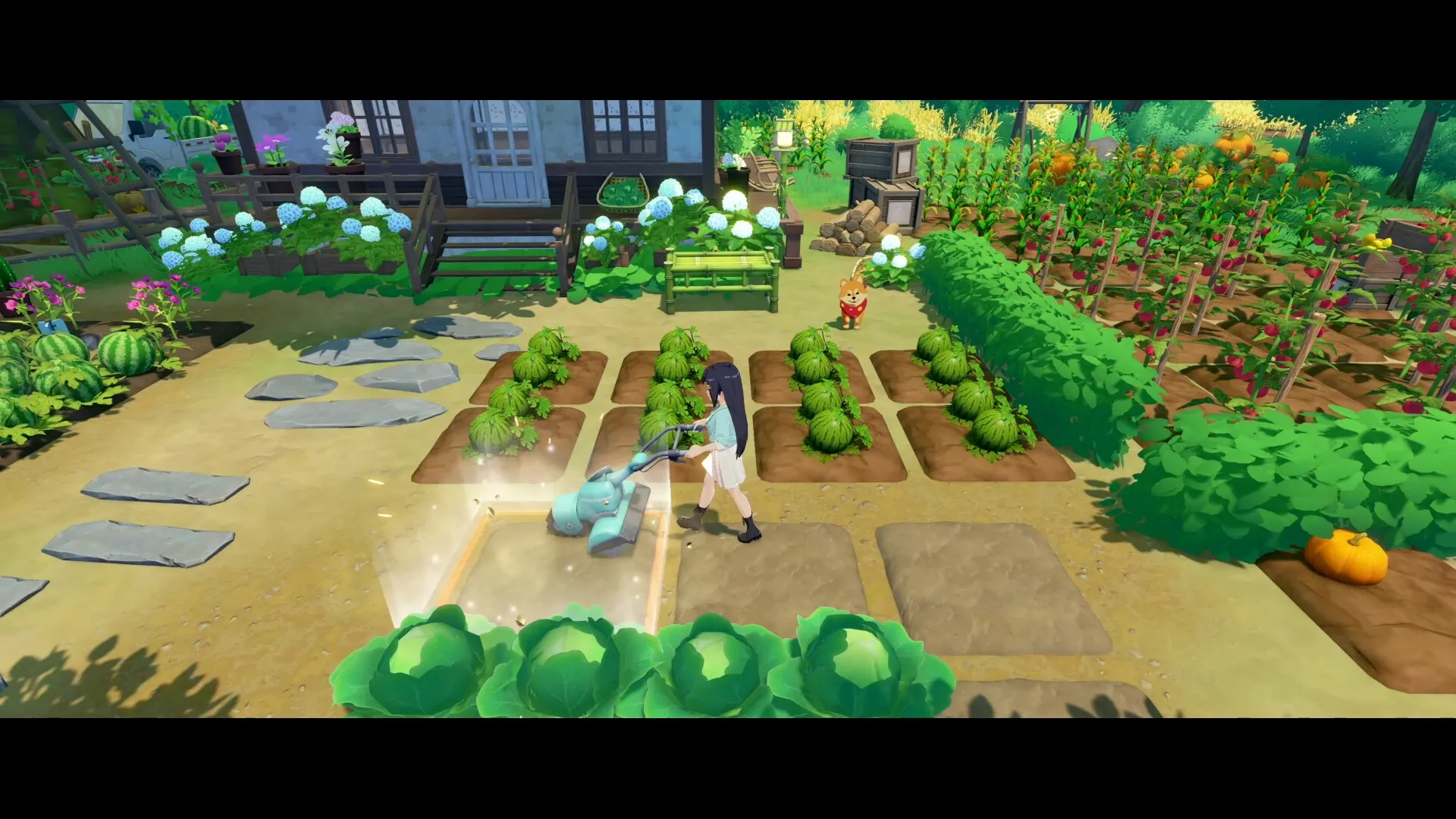 Thumbnail 7